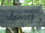 Kornuty. Rozczarowanie w skalnym rezerwacie