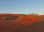 Namib. Na tej pustyni nie sposób się nudzić