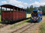 Płociczno. Wigierską kolejką przez las i pola
