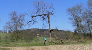 . Na&nbsp;majówkę!