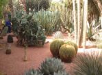 Marrakesz. Stulecie Ogrodu Majorelle