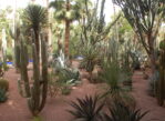 Marrakesz. Stulecie Ogrodu Majorelle