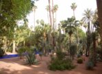 Marrakesz. Stulecie Ogrodu Majorelle