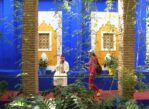 Marrakesz. Stulecie Ogrodu Majorelle