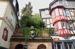 Marburg Od św. Elżbiety do Zamku Landgrafów