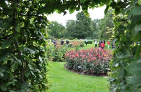 Skania City break w południowej Szwecji