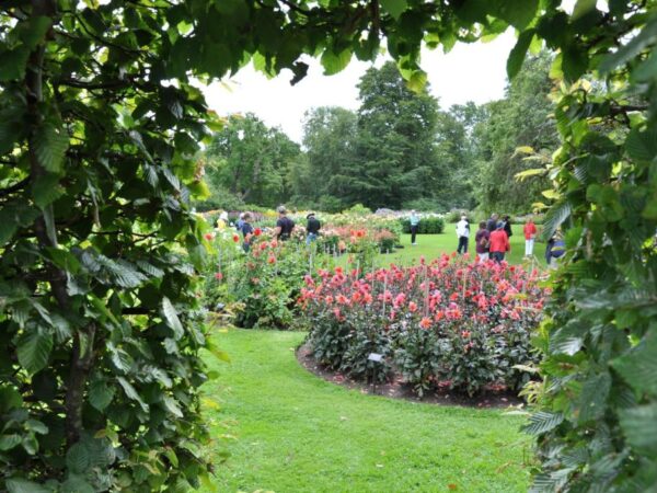 Skania. City break w południowej Szwecji