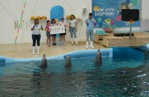 Warna Z wizytą u delfinów butlonosych