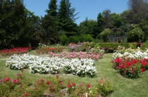 Warna Uniwersytecki Ogród Botaniczny