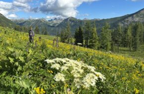 Ałtaj Kraina harmonii i&nbsp;dobrobytu