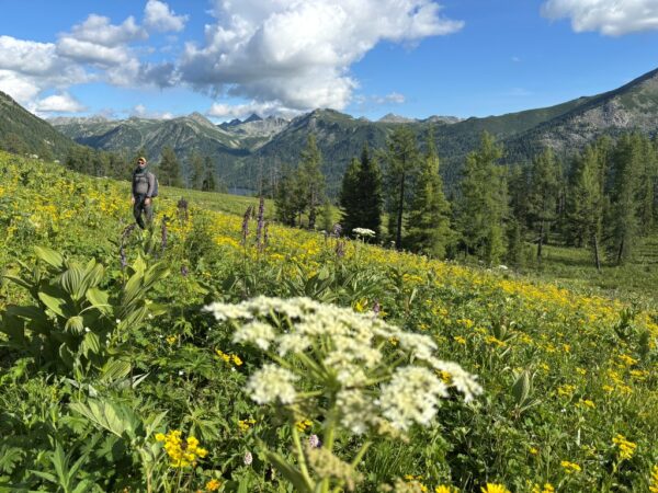 Ałtaj. Kraina harmonii i&nbsp;dobrobytu