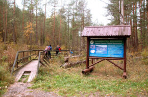 Gagaty Sołtykowskie Żałobna biżuteria i&nbsp;ślady dinozaurów