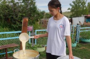 Bozanbai Mleczne rarytasy z&nbsp;kazachskiego stepu