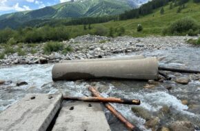 Ałtaj Austriacką drogą przez&nbsp;Katon Karagaj