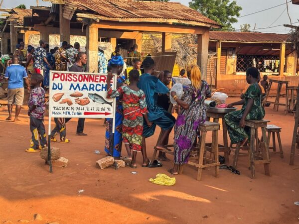 Benin Potykacze to&nbsp;najskuteczniejsze reklamy