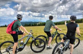 Hochsteiermark W&nbsp;komorze Zielonego Serca Austrii