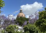 Jerez. Wino, konie, flamenco i ciut architektury