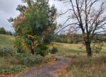 Chełmiec. Drogą krzyżową do niby-ruiny