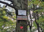 Waligóra. Sapiąc, z pokorą, na szczyt